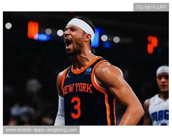 尼克斯篮板像抢劫